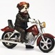 Zlot motocyklowy w Bystrzycy