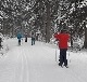 Trasy biegowe, 15.02.2021